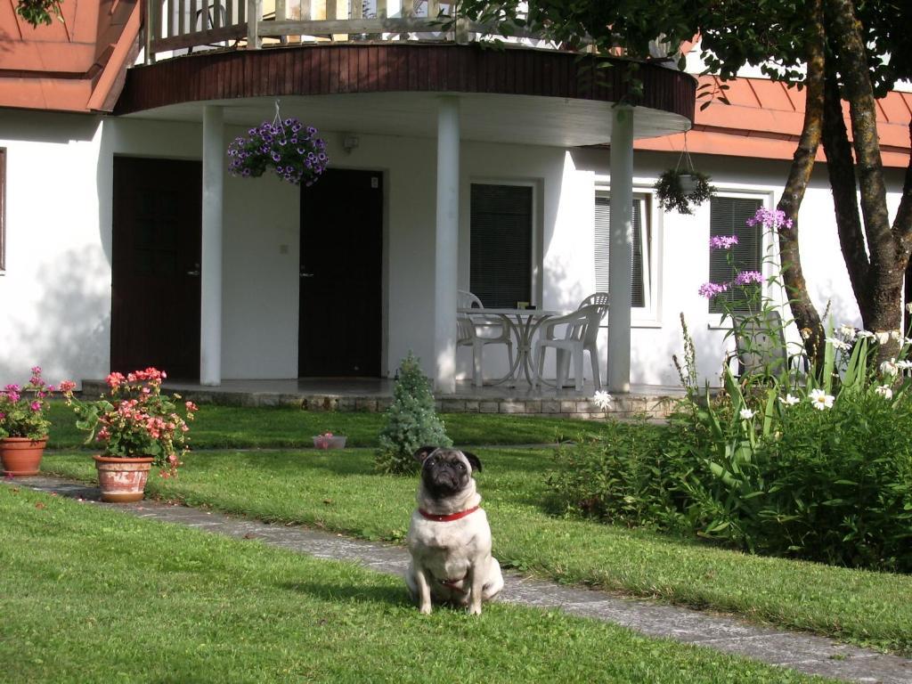 Maenni Guesthouse Haapsalu Δωμάτιο φωτογραφία